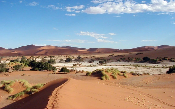 Das trockene Soussusvlei inmitten der ältesten Wüste der Welt in Namibia.